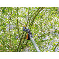 PowerGear™ Tree Pruner
