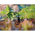 Hozelock 2788 End of Line Adjustable Mini Sprinkler on Stake 4mm (Pack 12)