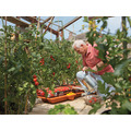 Hozelock 2810 Growbag Waterer