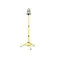 Lighthouse 2000 Single Site Light 18W 110V