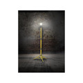 Lighthouse 2000 Single Site Light 18W 110V