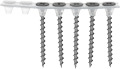 SENCO Collated Screws Drywall to Wood 3,9x35mm