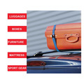 MLK3379ECOL Master Lock Lashing Strap with Metal Buckle, Coloured 5m 150kg (Pack 2)