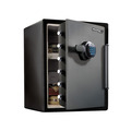 MLKLFW205FYC Master Lock XX-Large Digital Fire & Water Safe