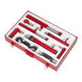 Sealey Specialist Push & Pull Ram Set