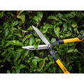 XT Pro Hedge Shears 635mm