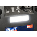 Sealey RoadStart® 12/24V Emergency 8-Cylinder Jump Starter 6L