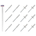 Sealey RVSET Clip Strip Deal - Aluminium Rivets