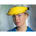 Standard Face Shield + Visor