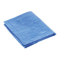 Sealey TARP2040 Tarpaulin 6.10 x 12.19m - Blue