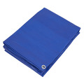 Sealey TARP6012 Lightweight PE Tarpaulin 6.10 x 12.19m - Blue