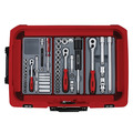 Teng TENSC01 Flight Style Carry Case Kit, 113 Piece
